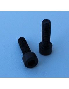 2 SCREWS ALLEN M10 x 35 m/m 2