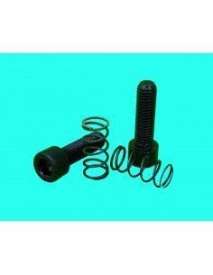 KIT PARAFUSOS E MOLAS PARA FLANGE PROMECAM